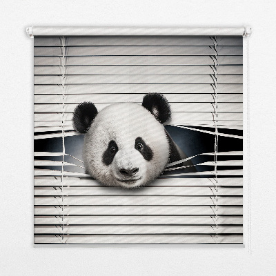 Függöny roló Panda