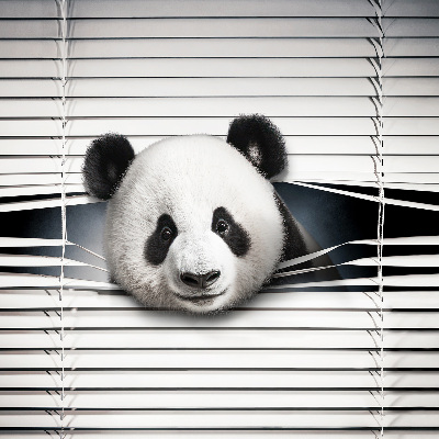 Függöny roló Panda