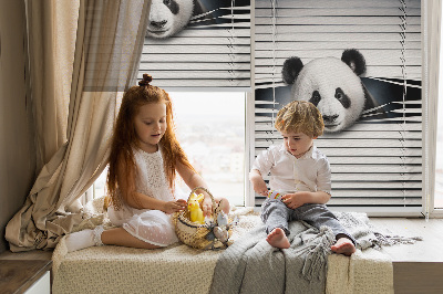 Függöny roló Panda