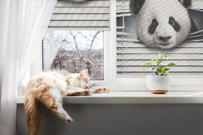 Függöny roló Panda