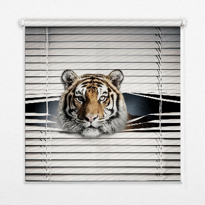 Ablakra roló Tigris