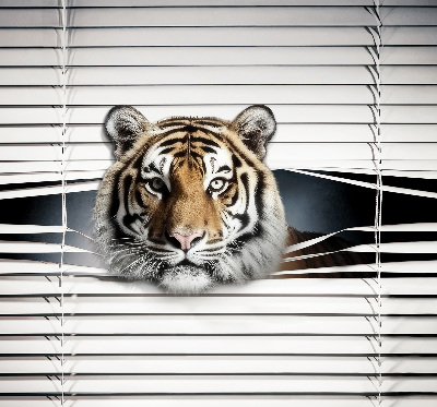Ablakra roló Tigris