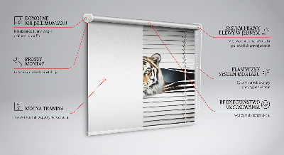 Ablakra roló Tigris