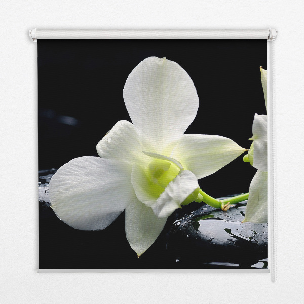 Ablakra akasztható roló Orchideák és elegancia