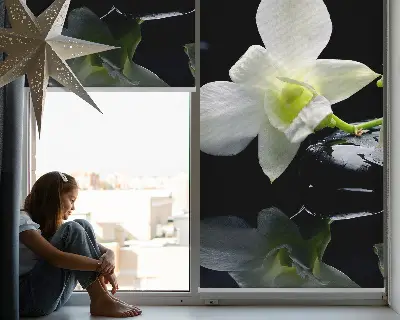 Ablakra akasztható roló orchideák és elegancia mintával