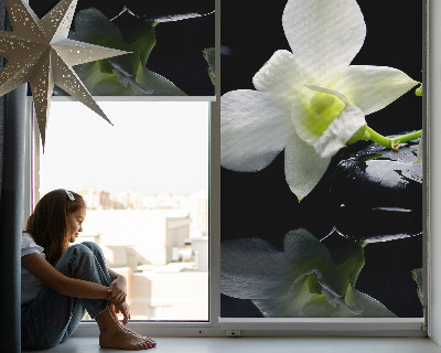 Ablakra akasztható roló Orchideák és elegancia