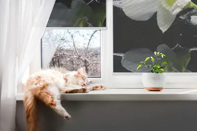 Ablakra akasztható roló orchideák és elegancia mintával