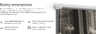Sötétítő roló Macskák az ablakban