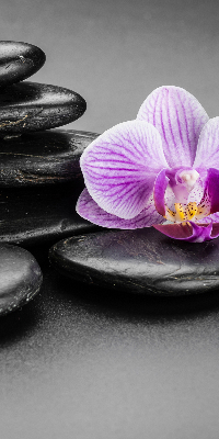 Ablakra akasztható roló Orchidea a köveken