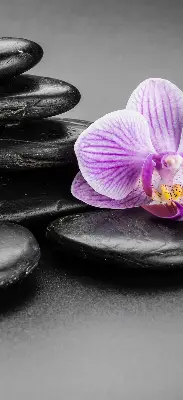 Ablakra akasztható roló orchidea a köveken mintával