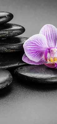 Ablakra akasztható roló Orchidea a köveken