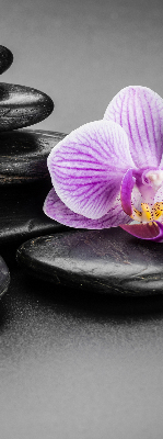 Ablakra akasztható roló Orchidea a köveken