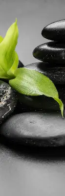 Ablakra akasztható roló orchidea a köveken mintával