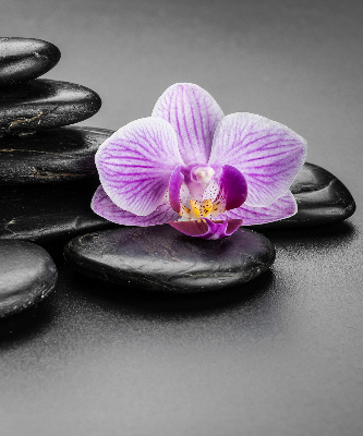 Ablakra akasztható roló Orchidea a köveken