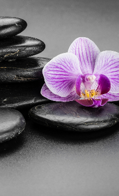 Ablakra akasztható roló Orchidea a köveken