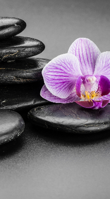 Ablakra akasztható roló Orchidea a köveken