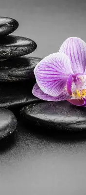 Ablakra akasztható roló orchidea a köveken mintával