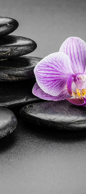 Ablakra akasztható roló Orchidea a köveken
