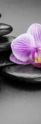 Ablakra akasztható roló orchidea a köveken mintával
