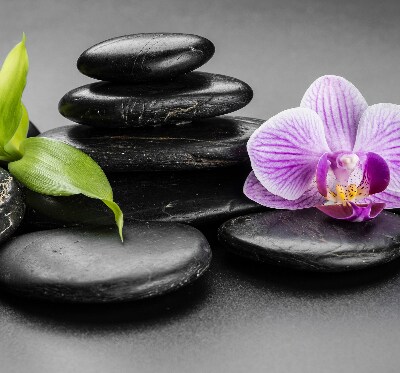 Ablakra akasztható roló Orchidea a köveken
