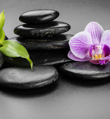 Ablakra akasztható roló Orchidea a köveken