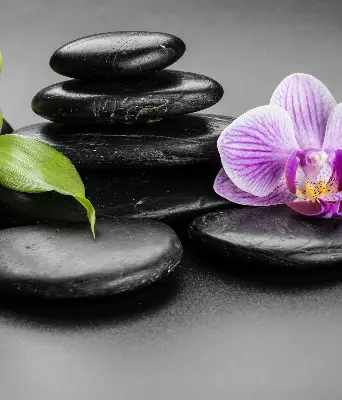 Ablakra akasztható roló orchidea a köveken mintával