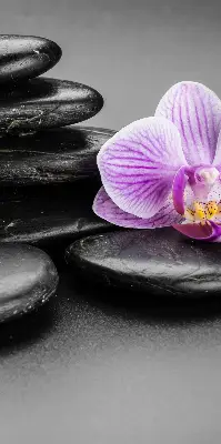 Ablakra akasztható roló orchidea a köveken mintával