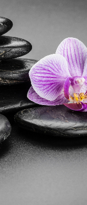 Ablakra akasztható roló Orchidea a köveken