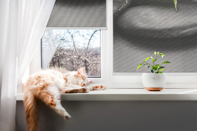 Ablakra akasztható roló Orchidea a köveken