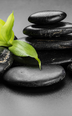 Ablakra akasztható roló Orchidea a köveken