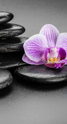 Ablakra akasztható roló Orchidea a köveken