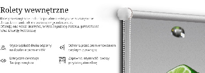 Ablakra szerelhető roló Lime vízben