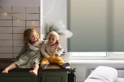 Ablakra szerelhető roló halványító hatással