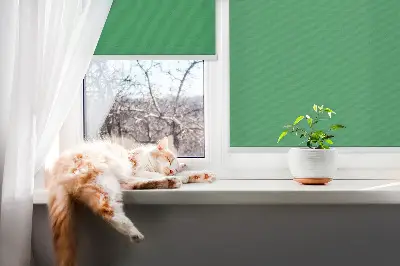 Ablakra szerelhető roló zöld színben
