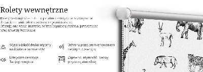 Sötétítő roló Állatok