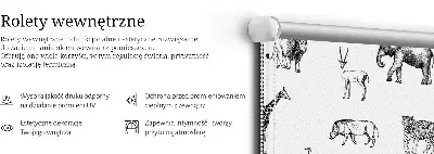 Sötétítő roló állatos mintával