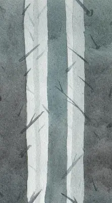 Ablakra akasztható roló fák mintával