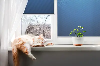 Ablakra akasztható roló kék animációs mintával