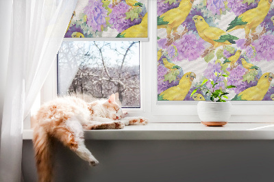 Ablakra szerelhető roló Sárga papagájok