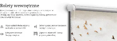 Ablakra szerelhető roló egy madárraj mintával