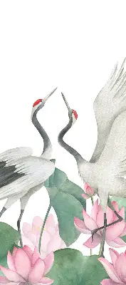 Ablakra akasztható roló daruk a liliomokban mintával