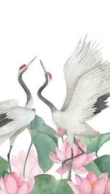 Ablakra akasztható roló daruk a liliomokban mintával