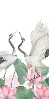 Ablakra akasztható roló daruk a liliomokban mintával