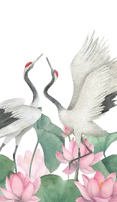Ablakra akasztható roló daruk a liliomokban mintával