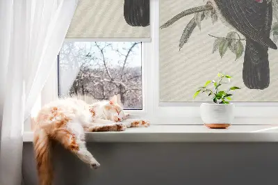Ablakra szerelhető roló madarak egy ágon mintával