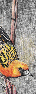 Sötétítő roló Egy madár egy ágon