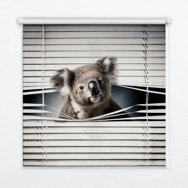 Sötétítő roló Koala kivitelben