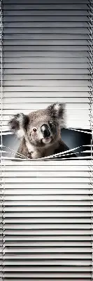 Sötétítő roló Koala kivitelben