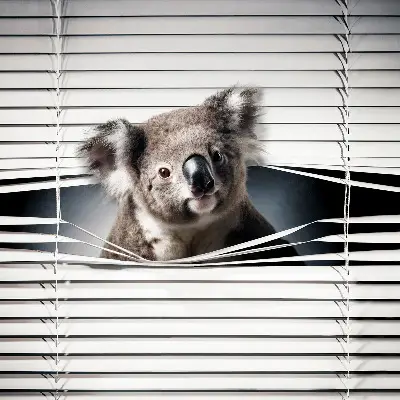 Sötétítő roló Koala kivitelben