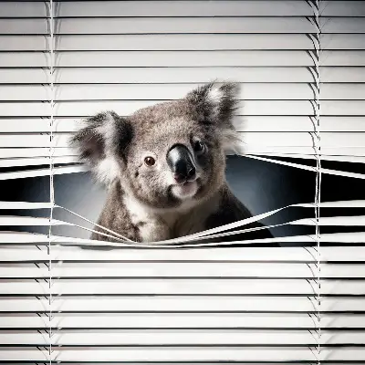 Sötétítő roló Koala kivitelben